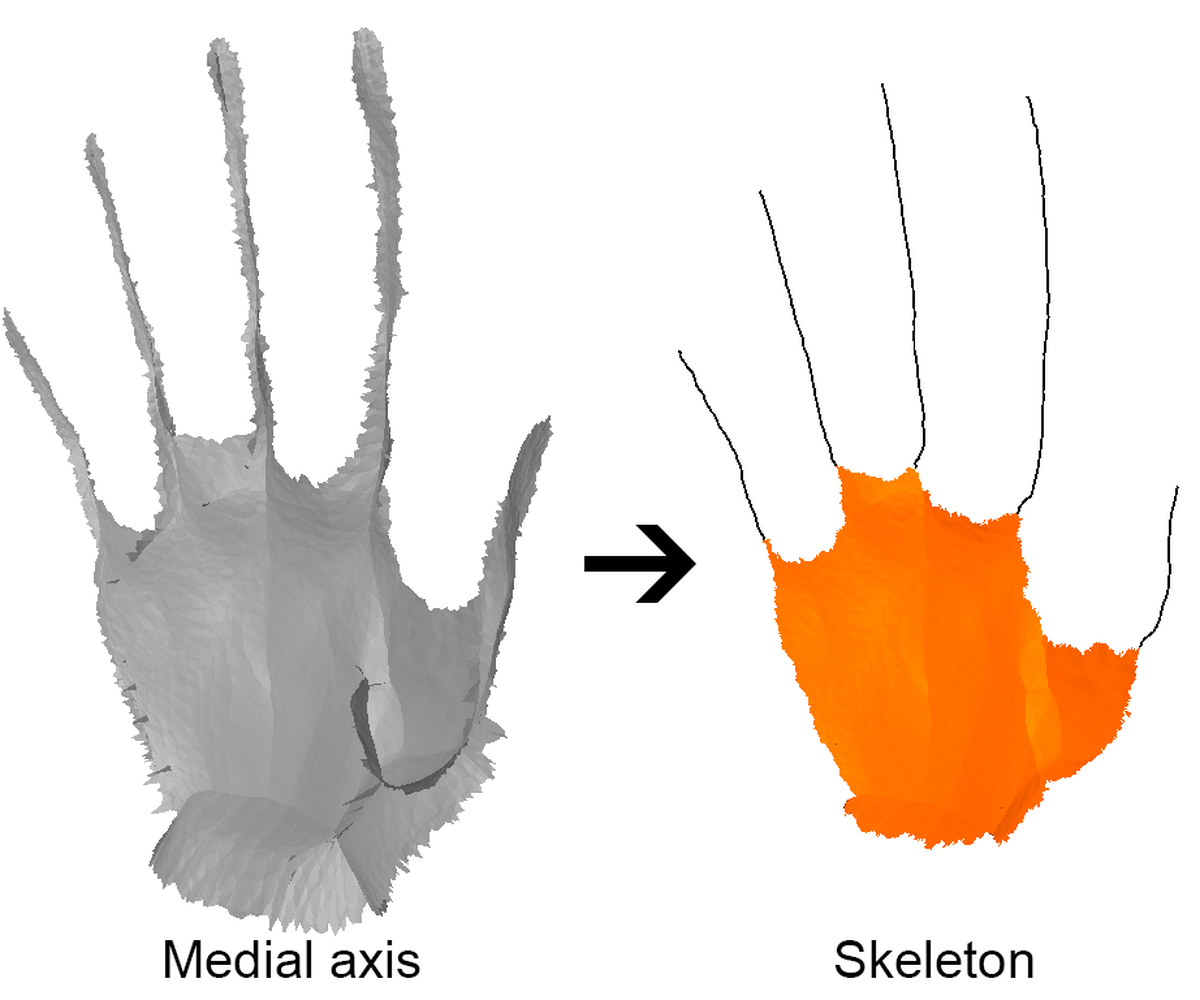 Erosion Thickness on Medial Axes of 3D Shapes