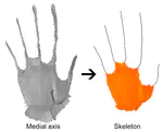 Erosion Thickness on Medial Axes of 3D Shapes